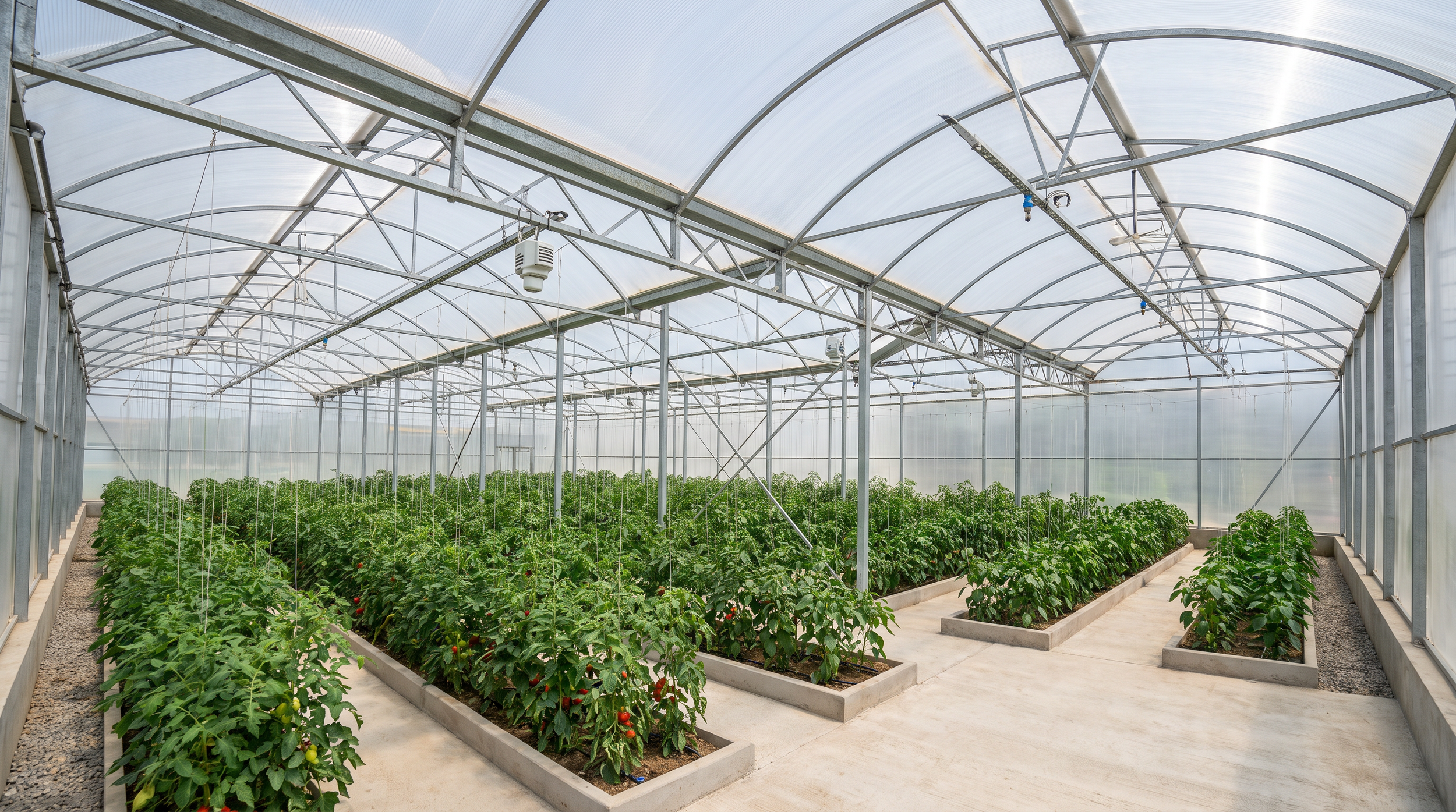 Polycarbonate Sheets for Greenhouses: A Light Diffusion and Daylighting Guide for Poly Houses in India